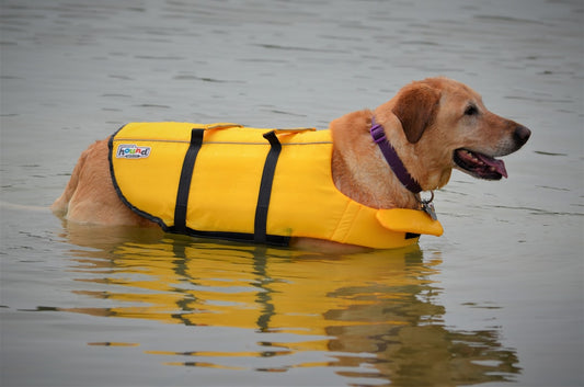 yellow kayak on body of water during daytime