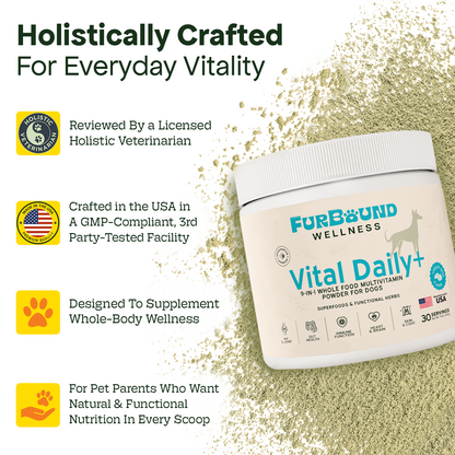 Dog Multivitamin Powder | 9-in-1 Whole Food Dog Vitamins and Dog Supplements that Supports Joint, Digestion, Skin & Coat, Immune, Cognition, Detox, Heart, Antioxidants (Cheesy Beef Flavor)