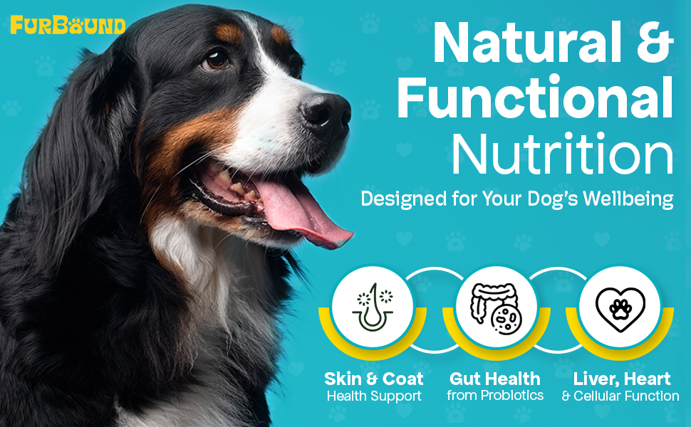 Dog Multivitamin Powder | 9-in-1 Whole Food Dog Vitamins and Dog Supplements that Supports Joint, Digestion, Skin & Coat, Immune, Cognition, Detox, Heart, Antioxidants (Cheesy Beef Flavor)