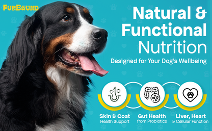 Dog Multivitamin Powder | 9-in-1 Whole Food Dog Vitamins and Dog Supplements that Supports Joint, Digestion, Skin & Coat, Immune, Cognition, Detox, Heart, Antioxidants (Cheesy Beef Flavor)