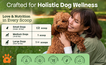 Dog Multivitamin Powder | 9-in-1 Whole Food Dog Vitamins and Dog Supplements that Supports Joint, Digestion, Skin & Coat, Immune, Cognition, Detox, Heart, Antioxidants (Cheesy Beef Flavor)