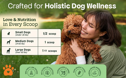 Dog Multivitamin Powder | 9-in-1 Whole Food Dog Vitamins and Dog Supplements that Supports Joint, Digestion, Skin & Coat, Immune, Cognition, Detox, Heart, Antioxidants (Cheesy Beef Flavor)
